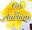 Auction